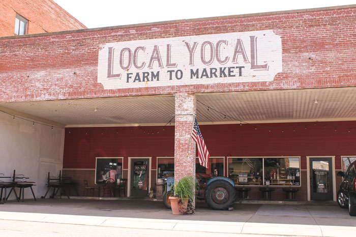 Local Yocal Things to Do in McKinney, TX