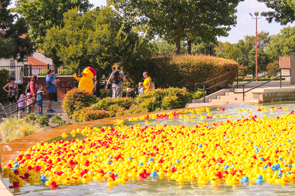 Rockwall Rubber Duck Regatta