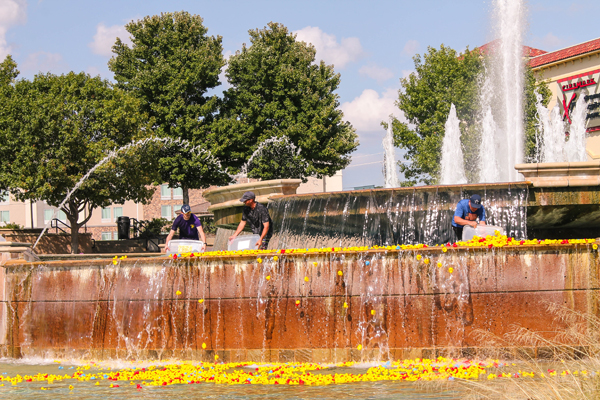 Rockwall Rubber Duck Regatta at The Harbor Rockwall