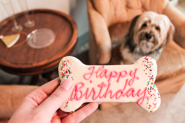 dog birthday cake treat