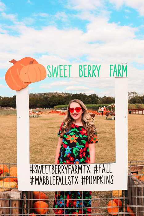 Sweet Berry Farm in Marble Falls, TX