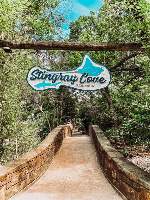 stingray cove fort worth zoo