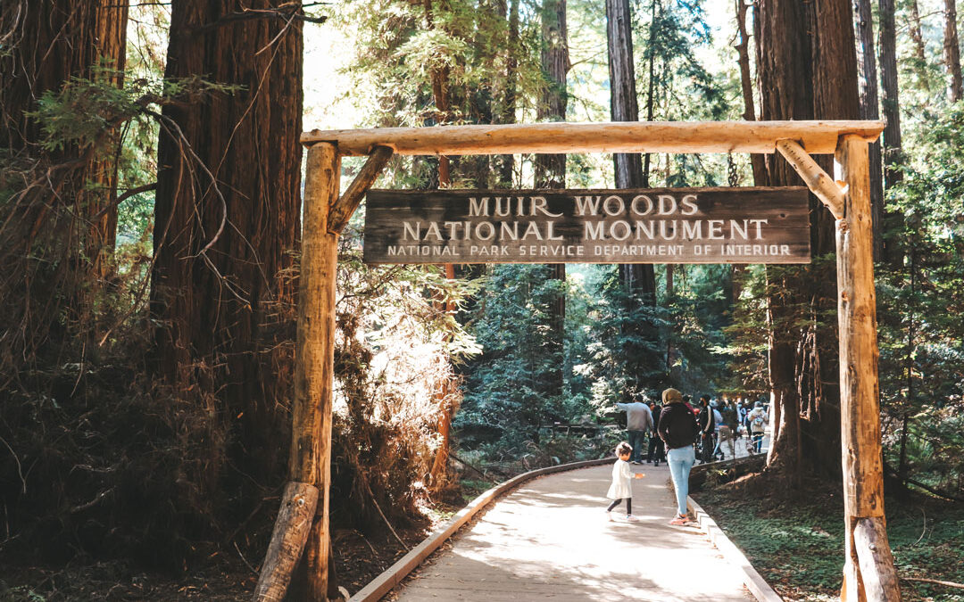 Visiting Muir Woods National Monument